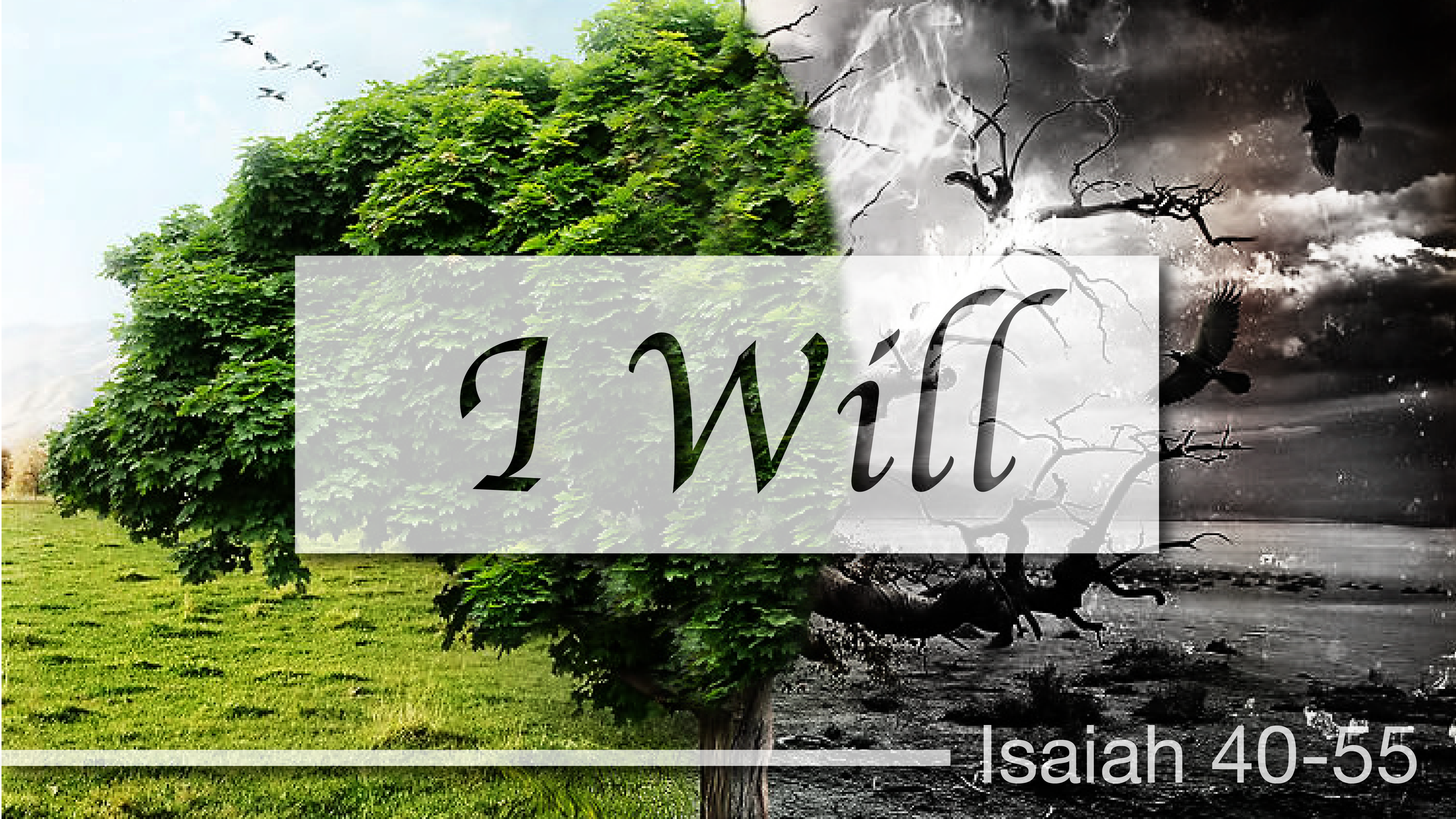I WILL... | Isaiah 40-55